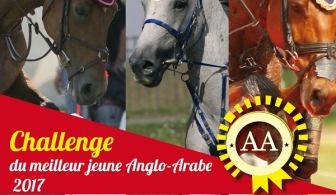 Plus que quelques jours pour...