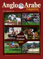 Le nouvel AA Mag arrive