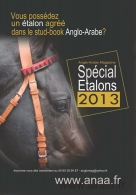 Dossier spécial étalons 2013:...