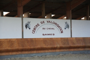 Appel à candidature Centre de...