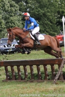 Mondial du Lion 2016: la...