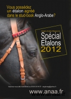 Le Magazine Spécial Etalons 2012