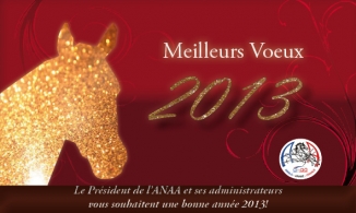Meilleurs Voeux 2013