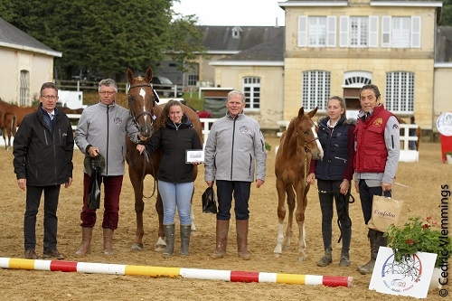 CHAMPIONNE DES POULINIERES SUITEE SECT3
VITESSE FOLLE