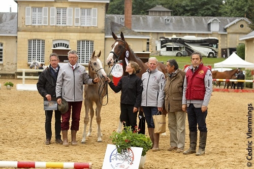 CHAMPIONNE DES POULINIERES SUITEES SECT1&2
THALYA DU NINET