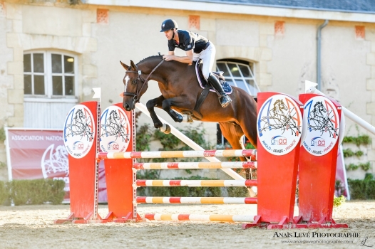 Fil de l'O champion des 3 ans section III