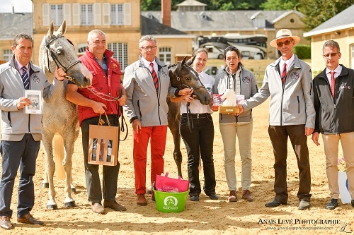 Ilumna du Mantet championne des foals race pure