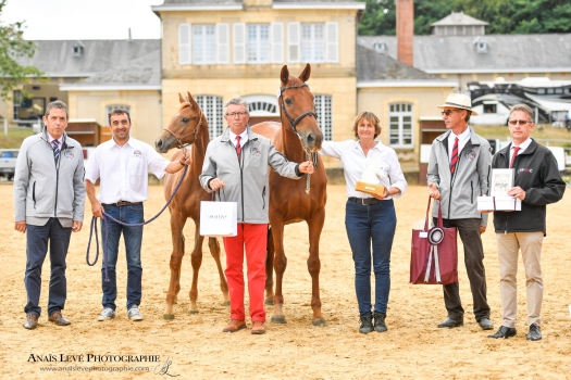 Ireina du Ferron championne des foals section III