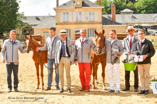 Ionysos du Lys champion des foals race pure