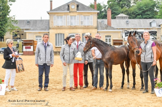 Indigo de la Parra champion des foals section III