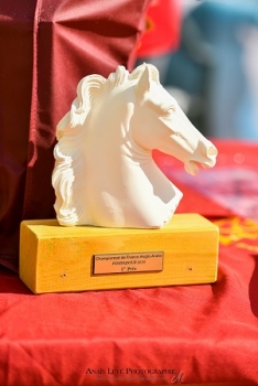 Trophée des champions by Equi Natura Créations Equestres