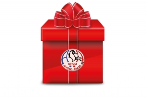 Idée cadeau pour les fêtes