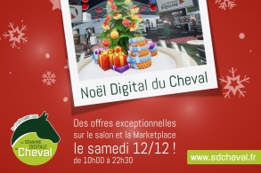 noel digital du cheval