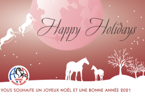 Bon noël à tous les...