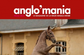 Le nouvel Anglo Mania spécial...