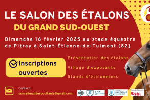 Le Salon des étalons du Grand...