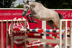La parole aux champions: Audrey...