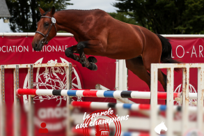 La parole aux champions:...