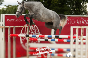 La parole aux champions:...