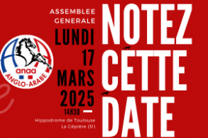 Assemblée Générale de l'ANAA...