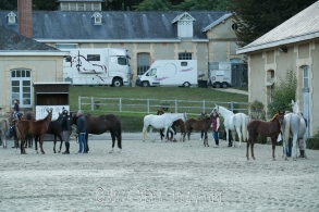 Les encouragements AA 2024 sont...