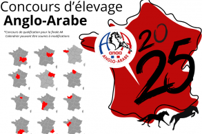 Calendrier des concours...