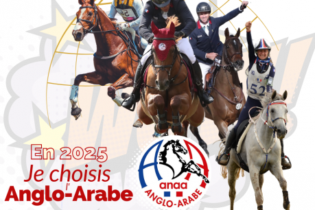 En 2025 choisissez l'anglo-arabe pour vos produits