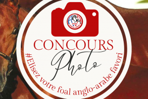 Concours photo: Elisez votre...