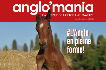 Anglo'Mania septembre 2025
