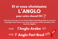 Inscrire son OC en Anglo-Arabe ou Anglo Part Bred