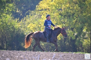 Grande Semaine d'Endurance...