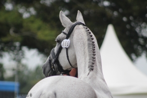 Upsilon un père mondialement...