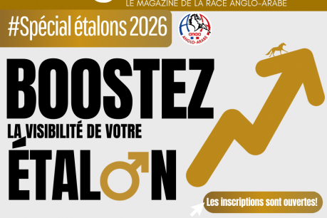 Boostez la visibilité de votre étalon sur Anglo'Mania 2026