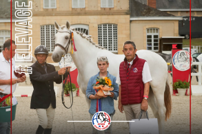 L'élevage de Buissy en deuil
