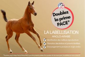 La PACE revalorisée grâce à...