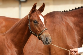 Les encouragements 2025 arrivent!