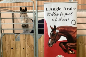 L'anglo de retour au SIA